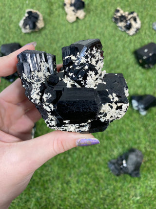 Erongo Black Tourmaline Raw Cluster | High Grade from Curious Muse Crystals Tagged with black, Erongo, fine mineral, hide-notify-btn, Namibia, raw, tourmaline