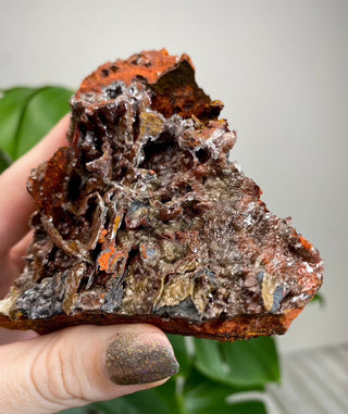 Calcite over Goethite and Limonite | Santa Eulalia, Mexico | G3 from Curious Muse Crystals for 28. Tagged with black, brown, calcite, crystal energy, goethite, hide-notify-btn, limonite, mexico, red, reiki healing, santa eulalia, yellow