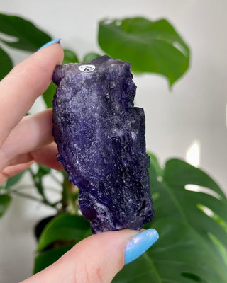 Múzquiz Fluorite from the Esperanza Mine, Mexico from Curious Muse Crystals Tagged with fluorescence, fluorite, hide-notify-btn, mexico, muzquiz fluorite, purple, raw crystal, spiritual development, uv reactive