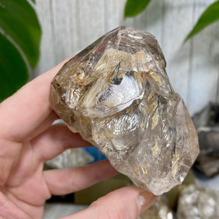 Fenster Quartz from Mexico - Self-Discovery from Curious Muse Crystals Tagged with clear, elestial, enhydro, fenster quartz, fluid inclusion, hide-notify-btn, mexico, quartz, yellow