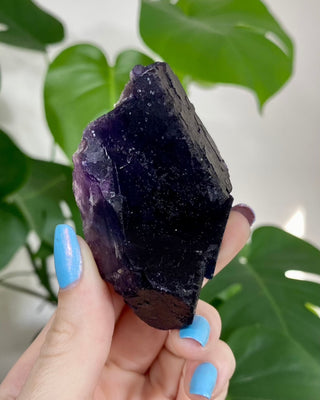 Múzquiz Fluorite from Esperanza Mine, Múzquiz, Mexico from Curious Muse Crystals Tagged with Crystal healing, fluorite, genuine crystal, hide-notify-btn, muzquiz fluorite, natural mineral, purple, raw mineral, reiki crystal, uv reactive